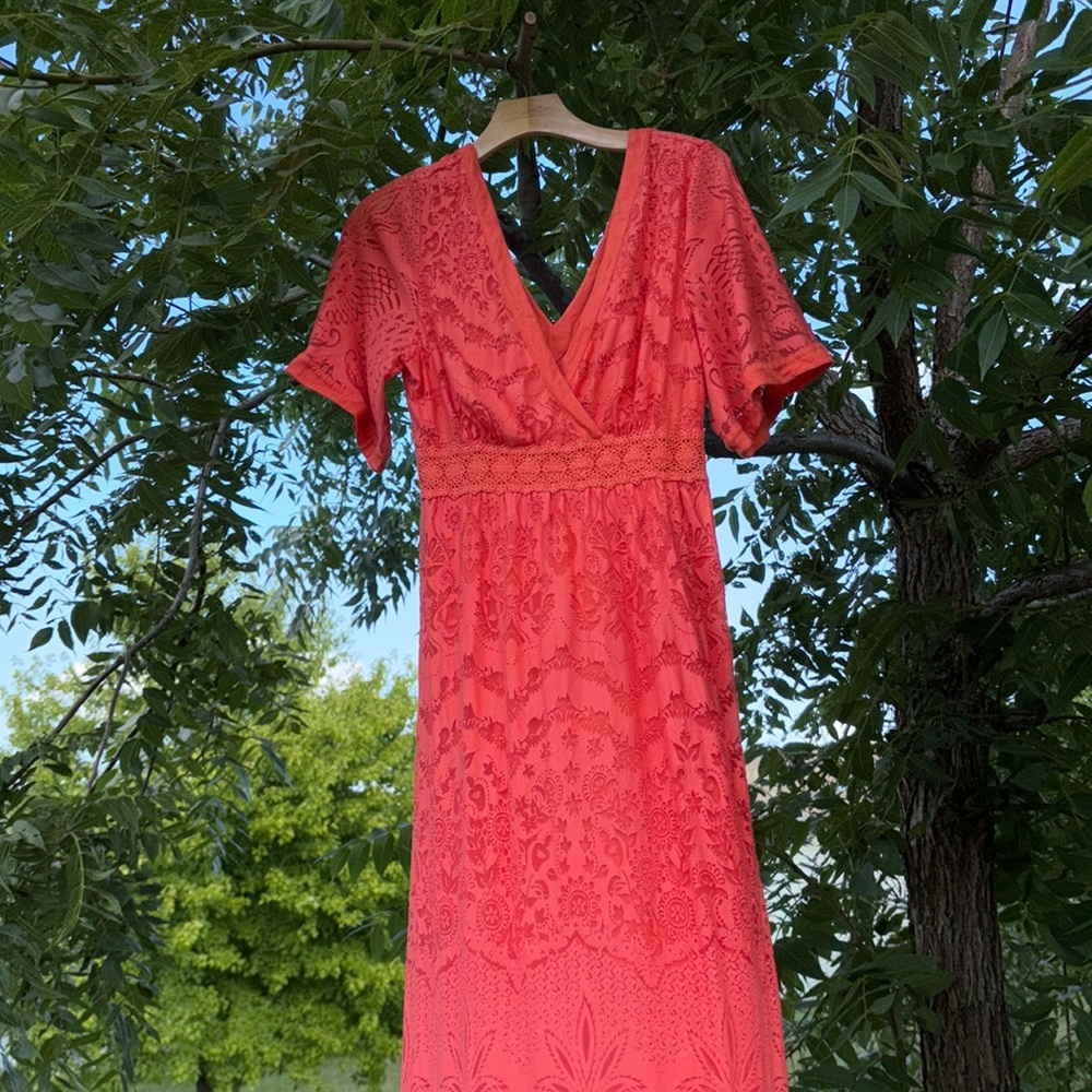 Anthropologie Farm Rio Devore Lace Maxi Dress Small Coral Farm Rio Dress